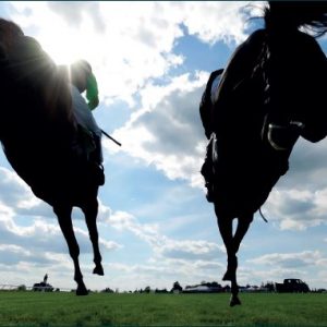 https://staging.hazelton-mountford-new.bydesignreligion.co.uk/app/uploads/2018/02/day-at-the-races.jpg