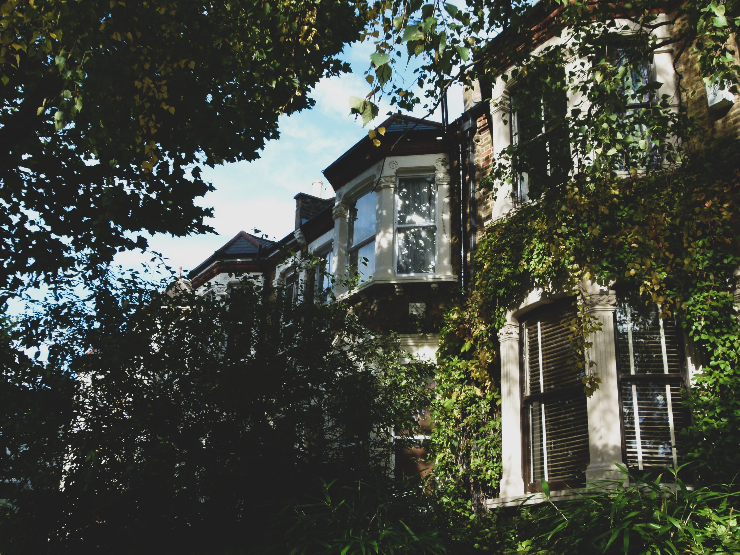 https://staging.hazelton-mountford-new.bydesignreligion.co.uk/app/uploads/2021/03/luiza-giannelli-OMgmZUezA7s-unsplash-scaled-1.jpg