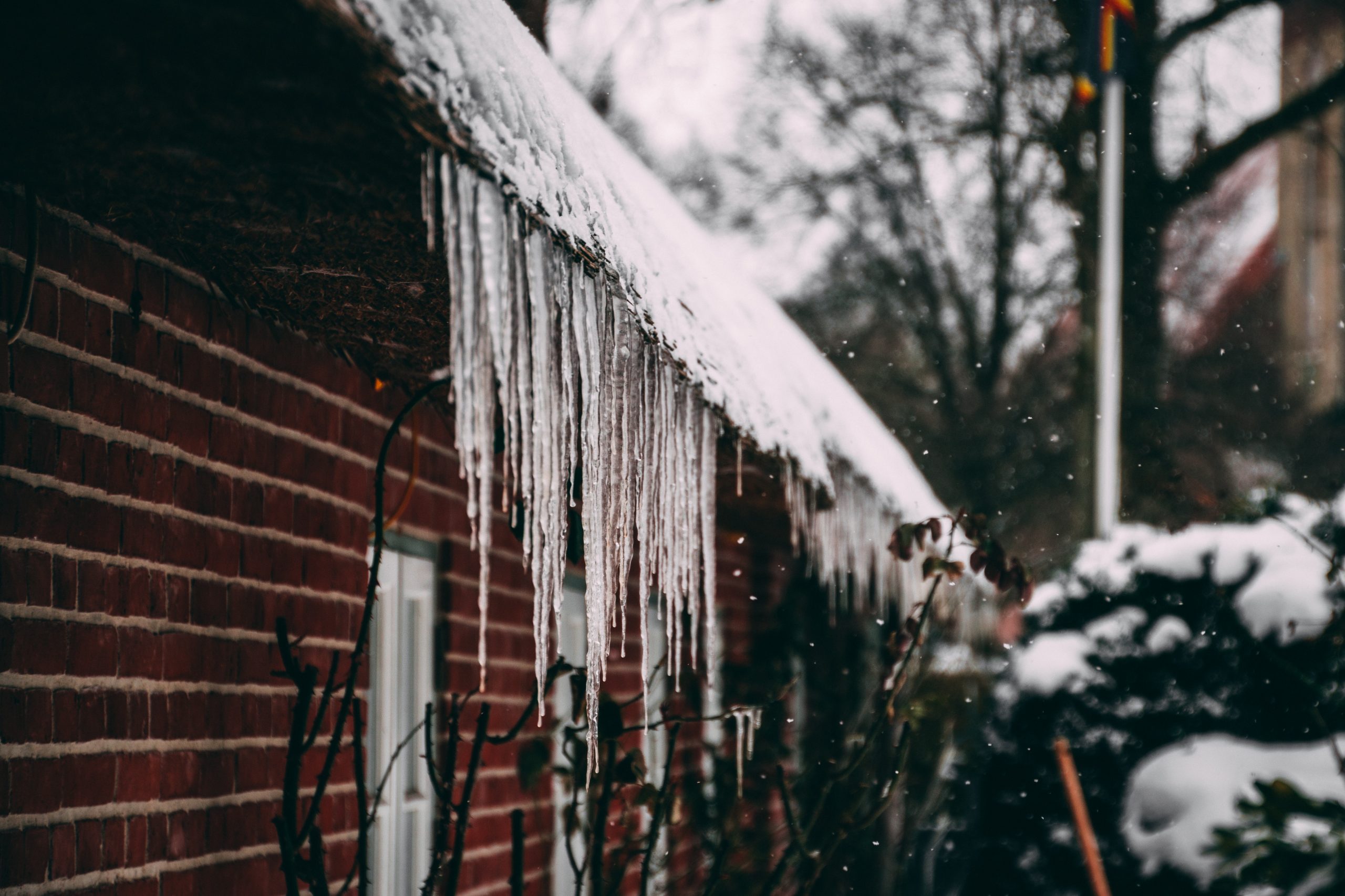 https://staging.hazelton-mountford-new.bydesignreligion.co.uk/app/uploads/2022/01/pexels-matthis-volquardsen-2090972-scaled-1.jpg