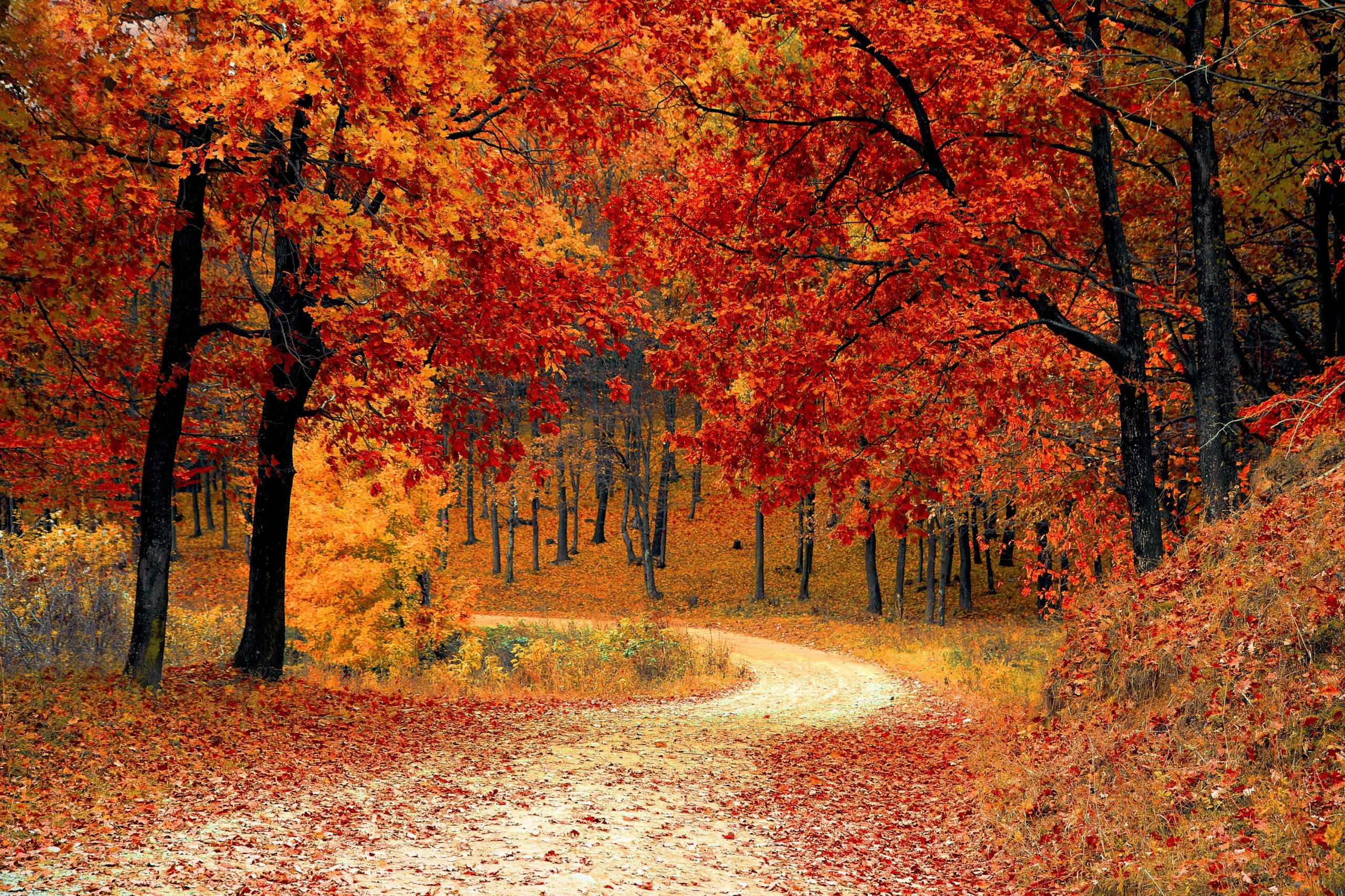 https://staging.hazelton-mountford-new.bydesignreligion.co.uk/app/uploads/2022/10/pexels-pixabay-33109-scaled-1.jpg