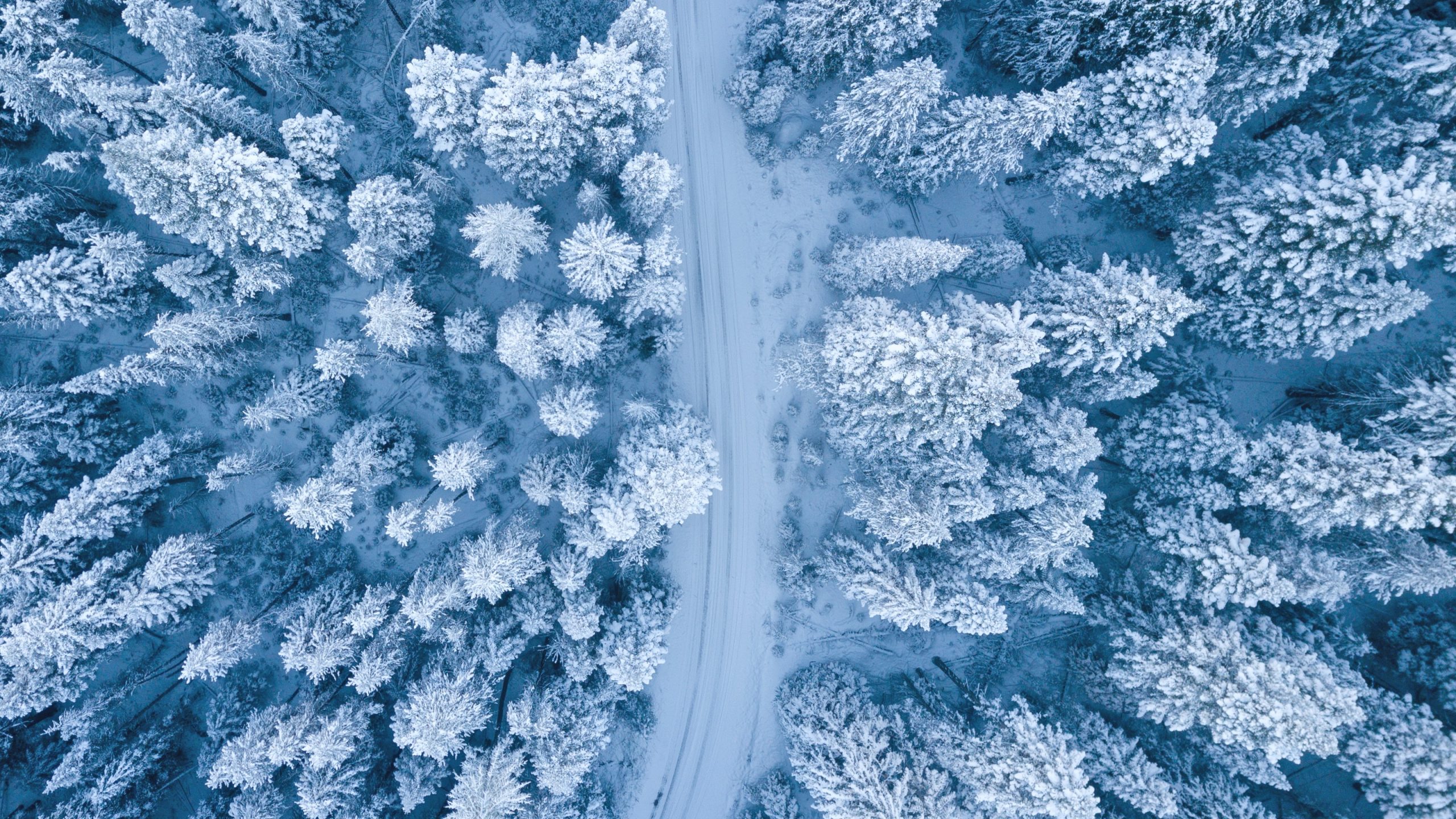 https://staging.hazelton-mountford-new.bydesignreligion.co.uk/app/uploads/2022/12/pexels-ruvim-miksanskiy-1438761-scaled-1.jpg