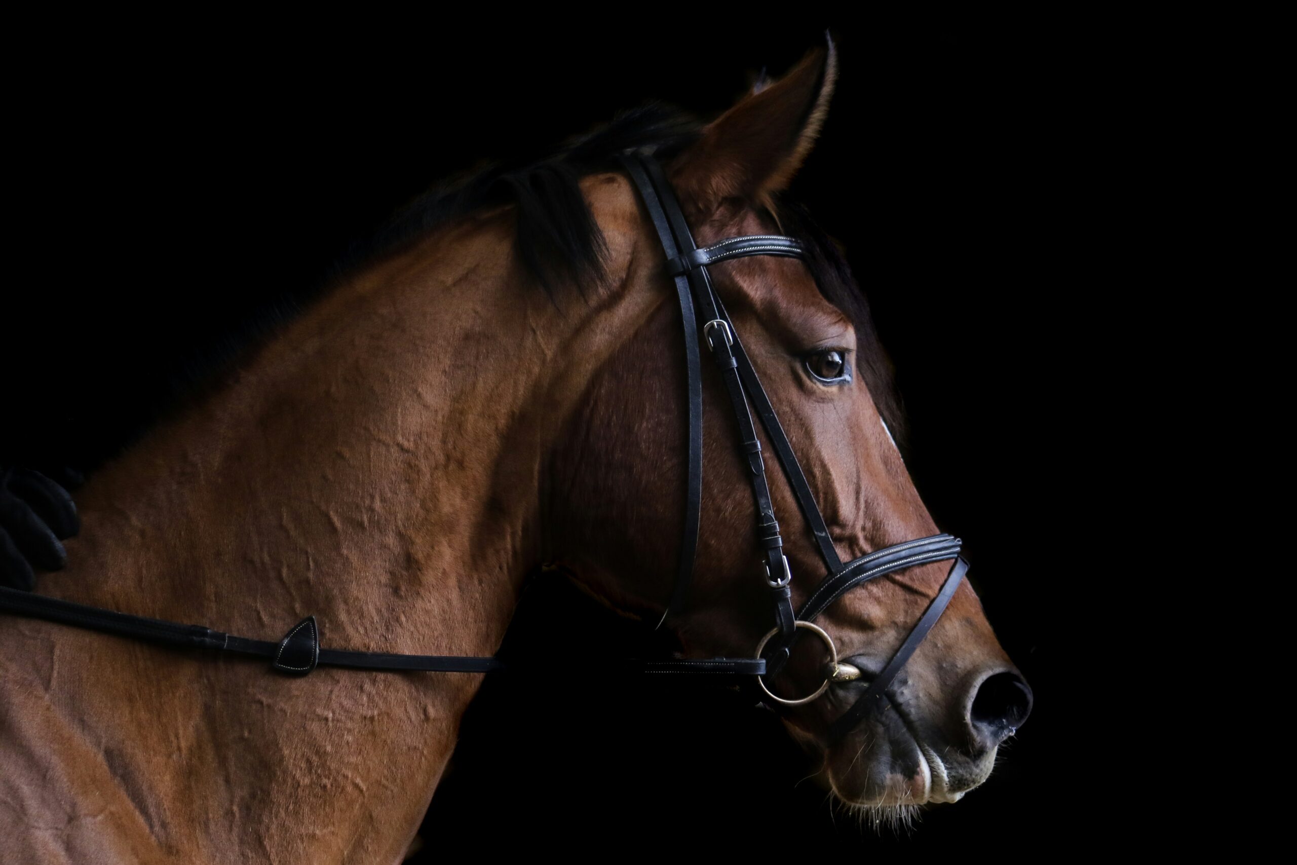https://staging.hazelton-mountford-new.bydesignreligion.co.uk/app/uploads/2024/02/marylou-fortier-mjXm9gYP4wE-unsplash-scaled.jpg